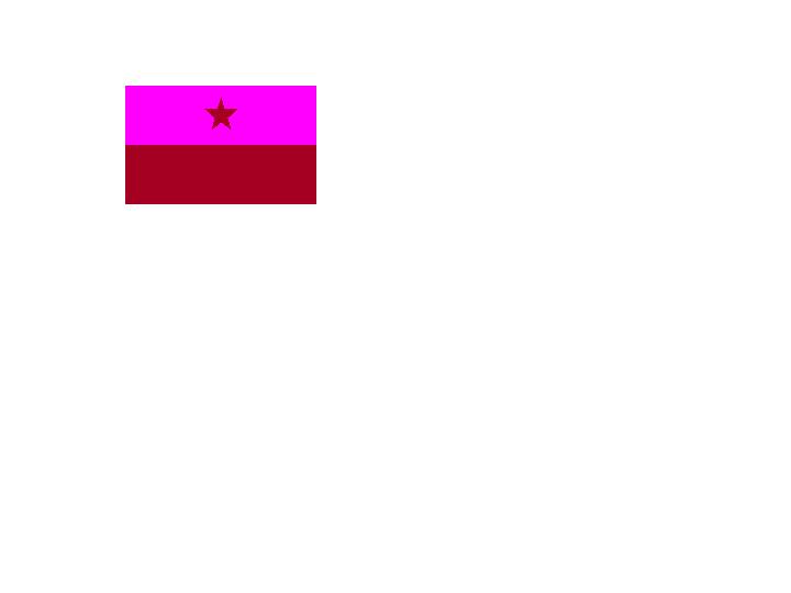 nfsflag.jpg
